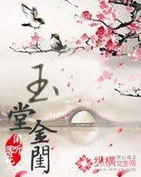 玉堂金闺封面