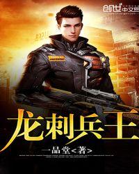 龙刺兵王封面