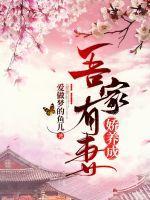 吾家有妻娇养成封面