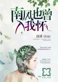 南风也曾入我怀封面