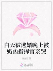 白天被逃婚晚上被奶凶指挥官亲哭封面