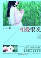 相爱恨晚封面