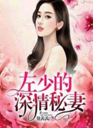 许愿左占封面