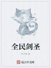 精灵时代的冒险家封面