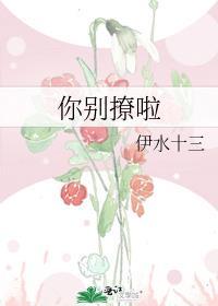 你别撩啦封面