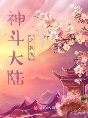 神斗大陆：复仇封面
