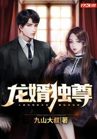 龙婿独尊封面