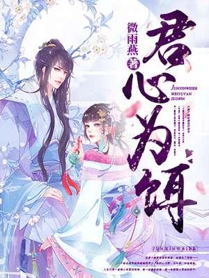 君心为饵封面