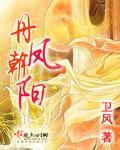 丹凤朝阳封面
