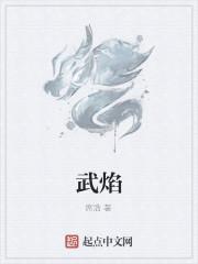 武焰封面