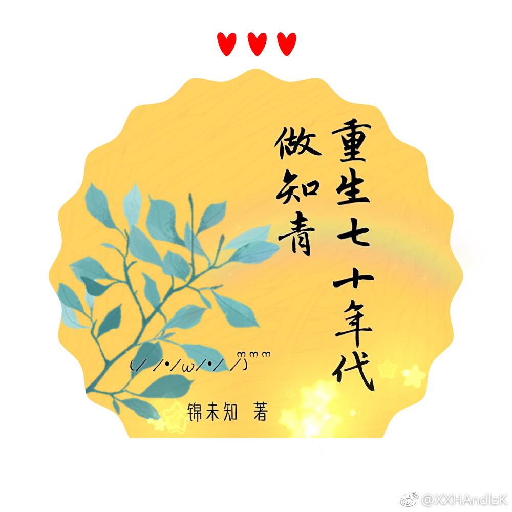 重生七十年代做知青封面