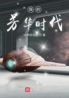 我的芳华时代封面