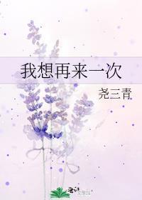 我想再来一次封面