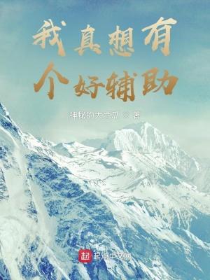我真想有个好辅助封面