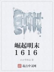 崛起明末1616封面
