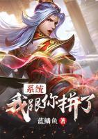 系统丶我跟你拼了封面