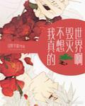 我真的不想毁灭世界啊封面