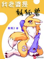 我老婆是妖狐兽封面