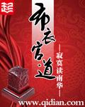 布衣官道封面