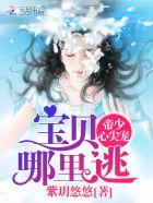 帝少心尖宠：宝贝，哪里逃封面