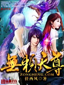 无赖天尊封面