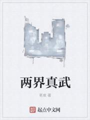 两界真武封面