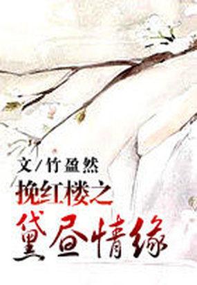 挽红楼之黛昼情缘封面