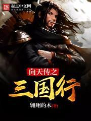 向天传之三国行封面