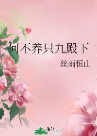 何不养只九殿下封面
