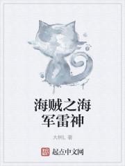 海贼之海军雷神封面