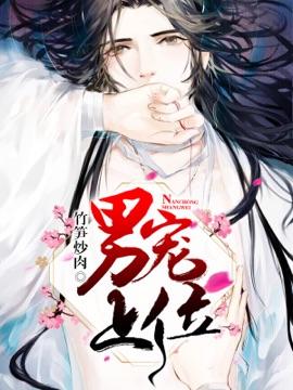 男宠上位封面