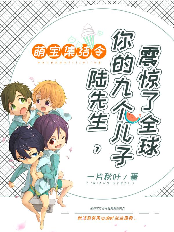 陆先生的九胞胎封面