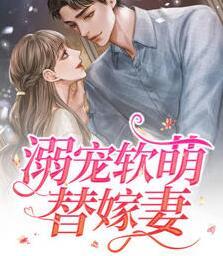 阮芽封迟琰封面