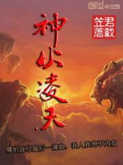 神火凌天封面