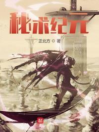 秘术纪元封面