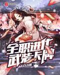 全职进化武装卡牌封面
