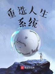 重选人生系统封面