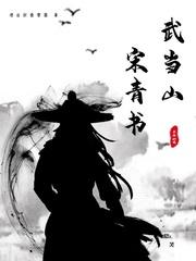 武当山宋青书封面