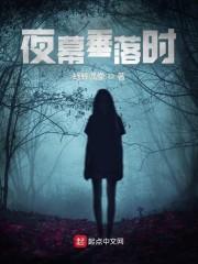 夜幕垂落时封面