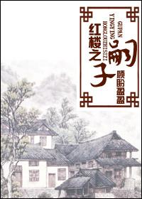 红楼之嗣子封面