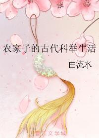 透视高手封面
