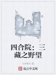 四合院:三藏之野望封面
