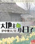 大地主的小日子封面