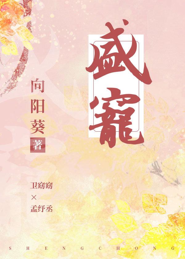 盛宠封面