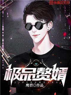 极品赘婿封面