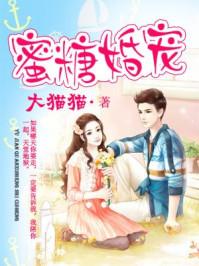 蜜糖婚宠封面