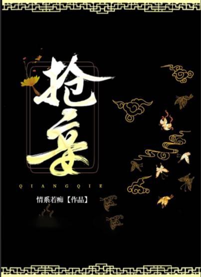 抢妾封面