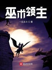 巫术领主封面