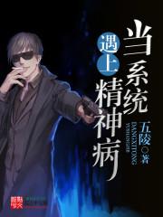 当系统遇上精神病封面