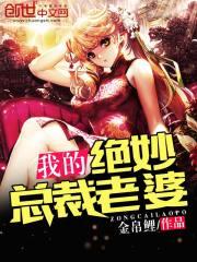 我的绝妙总裁老婆封面